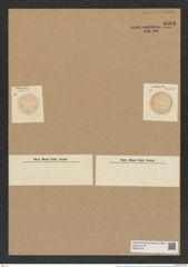 Actinoptychus heliopelta Grun. (de-Toni-Nr.: Genus 227, Species 5538) Zeichnungen Sammlung Grunow Nr. 9568 (NHMW-BOT-W0379376)